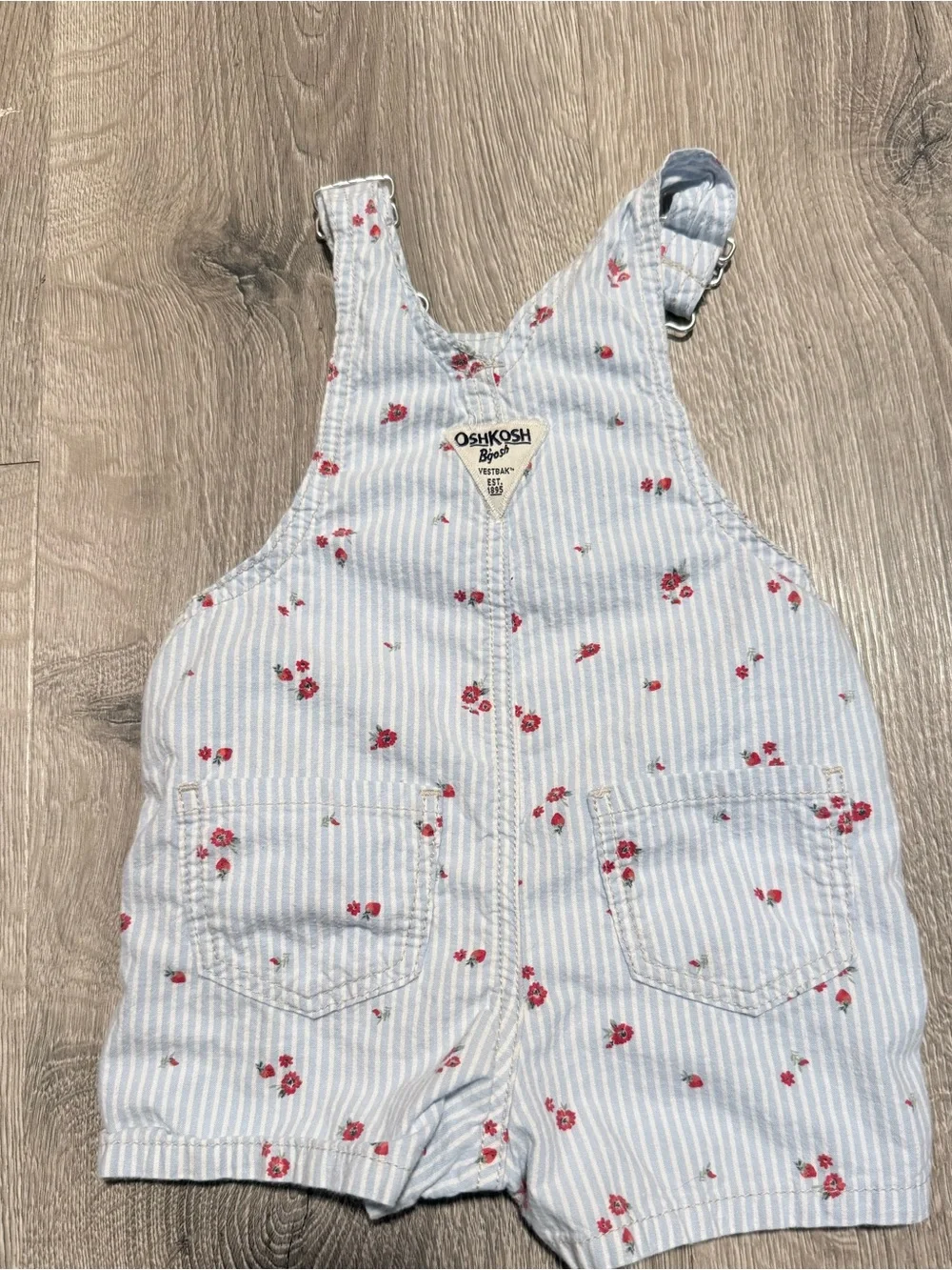 OshKosh B'gosh Blue Stripe & Pink Floral Kids Short Overalls